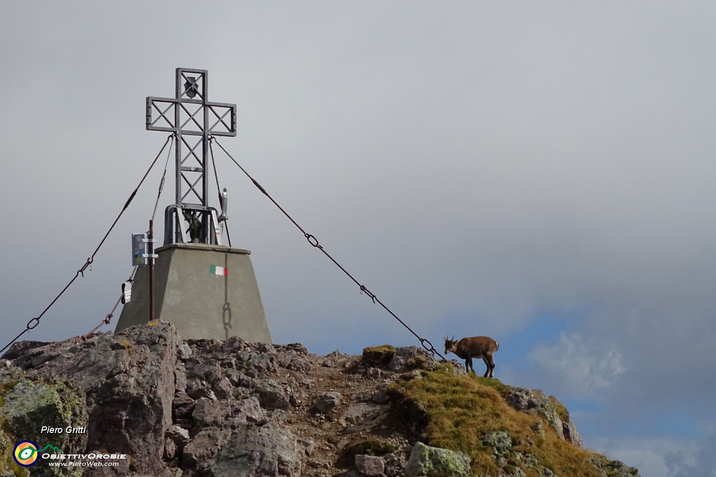 48 Uno stambecco alla croce del Pizzo dei Tre Signori (2554 m).JPG